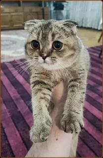 ❤️