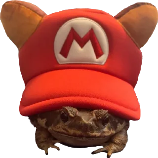 🧢