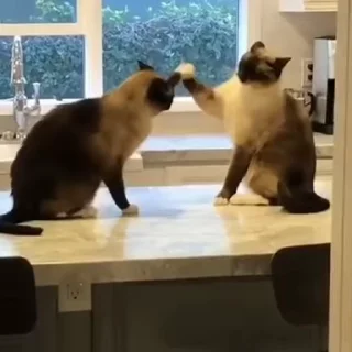 😋