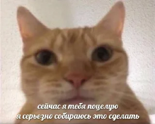 😚