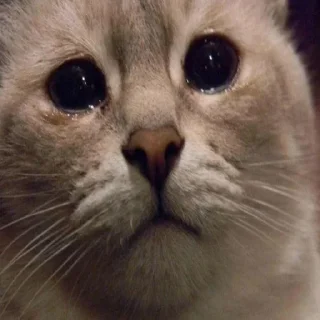 😥