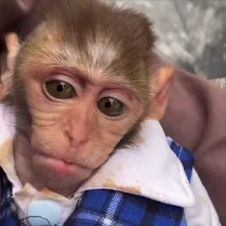 😯