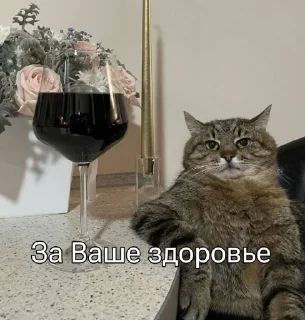 🍷