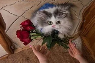 ❤️