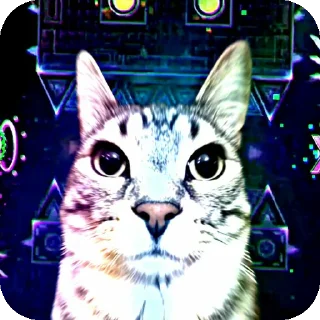🐱