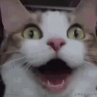 😃