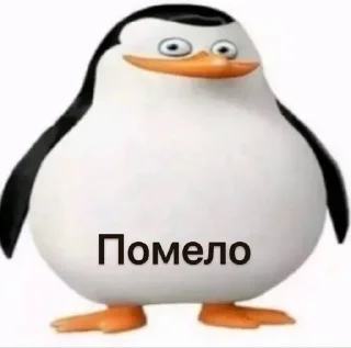 🍋