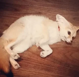 😱