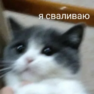 😮