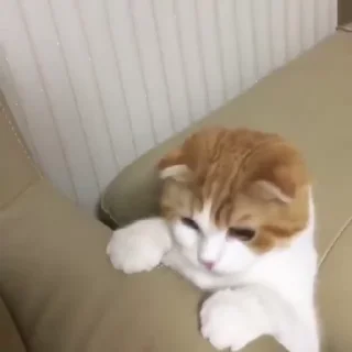😟