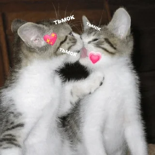 ❤