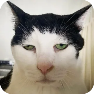 😑