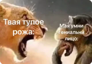 😎