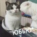 💑