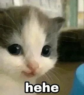 😜