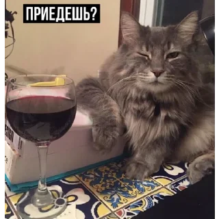 😏
