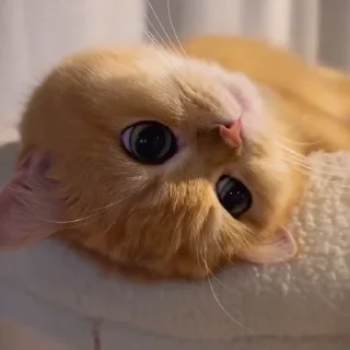 🙃