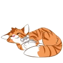 💤