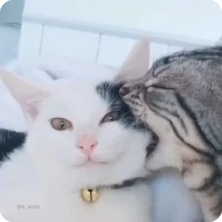 😘