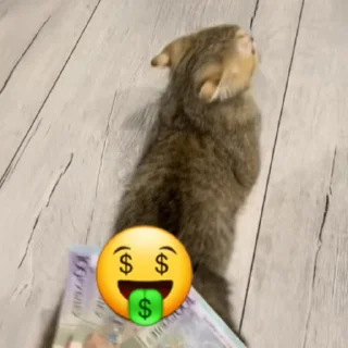 🤑