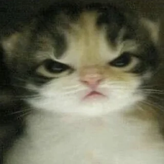 😒