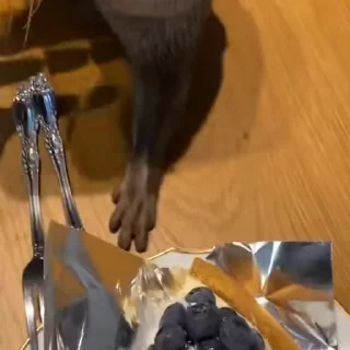 🍰
