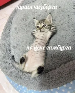 🍔
