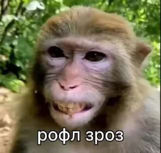 😂