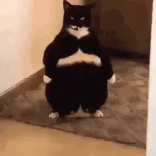 👀