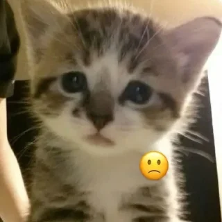 🙁