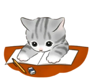 🐱