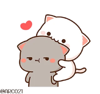 😽