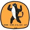 🐱