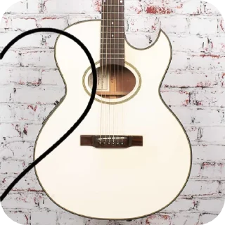 🎸