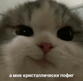 😏