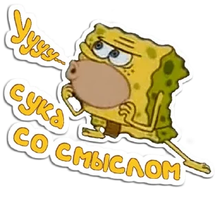🧽