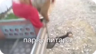 🌟