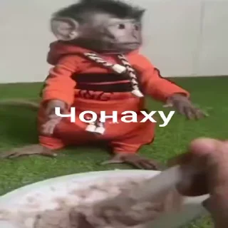 👻