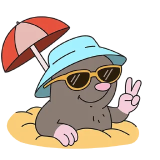 ✌️