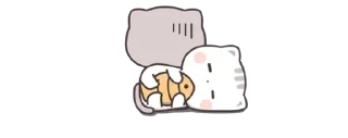 😴