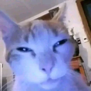 😑