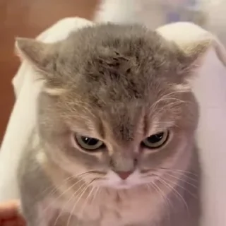 😒