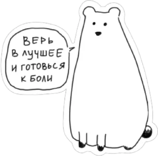 🐻