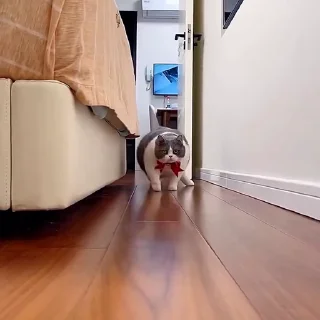🕺