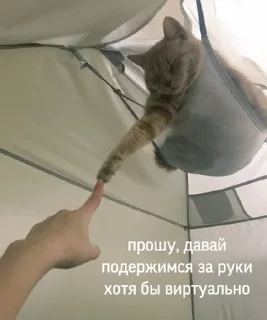 🥺