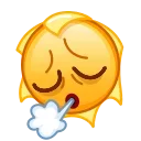 😮‍💨