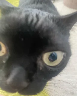 😐