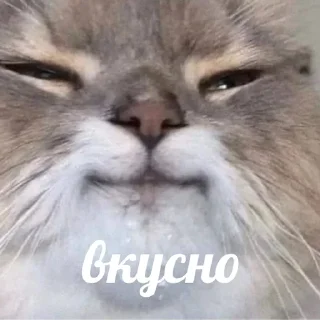 😋