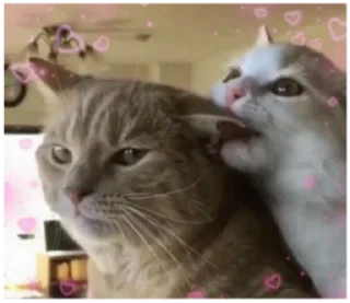 ❤️