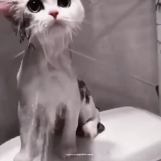 🍙